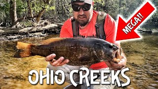 Ohio Creek Fishing - Ft Copley in the Creek