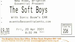 The Soft Boys - 'The Bells of Rhymney' live