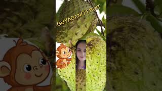 fallen split GUYABANO FRUIT!#fruit #funplay #viral #short