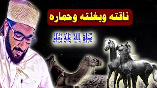 خيله و ناقته وبغلته وحماره - صلى الله عليه وسلم