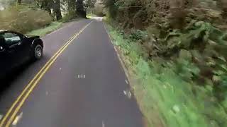 Longboarding Through The Redwoods