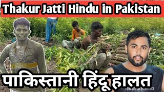 Pakistani Hindus Condition 🥺 || Hindus life in Pakistan || Hari Ram Vlogs