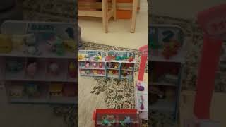 Shopkins song