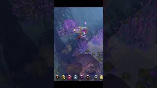 BEAR PAWS GANKING GETERING ALBION ONLINE #shots #albion