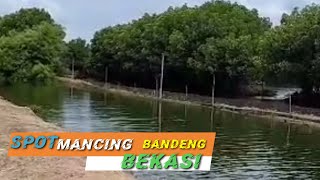 Spot Mancing Bandeng Muara Gembong Bekasi