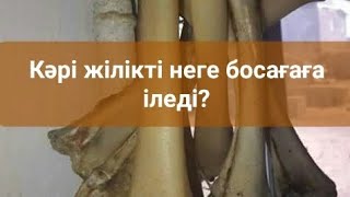 Кәрі жілікті неге босағаға іледі?