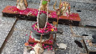 जयश्री महादेव 🔱❣️         #kedarnath  #JaiShri Mahakal#bholebabakijai#mahadevstatus