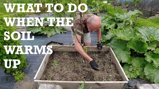 What to do when the soil warms up | Allotments For Fun and Food