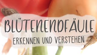 🍅 Blütenendfäule bei Tomaten erkennen und verstehen | Kompost&Liebe