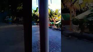 LE VALLI BEACH RESORT LOBO BATANGAS #beach #shortvideo