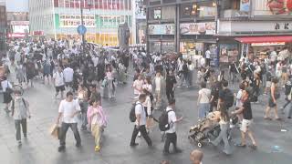 2024/8/14 大阪道頓堀ライブカメラ