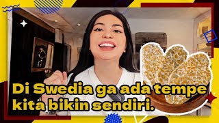 Cara membuat tempe rumahan di swedia || Resep tempe || Tempeh Indonesia