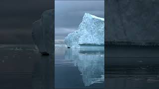 The glassy icebergs of Antarctica