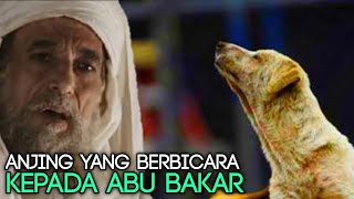 ABU BAKAR DAN SEEKOR ANJING