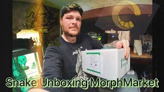 Snake Unboxing Morphmarket (Chimera) #ballpython