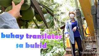 Buhay translator Sa bukid(Free WiFi project)