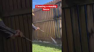 From Drab to Fab #pressurewashing #fencecleaning #professionalcleaning