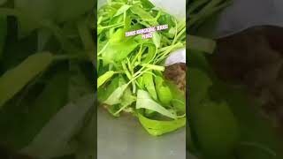 Cara Membuat Tumis Kangkung Terasi pedas