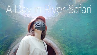 A Day in River Safari Singapore | A7III Cinematic Vlog