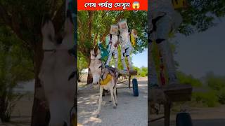 ঘোড়ার গাড়ি নিয়ে চাঁদে গেল | #viral #viralshort