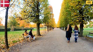 Best Park in Copenhagen? King's Garden Walking Tour 4k 🇩🇰 Beautiful Autumn in Denmark