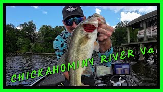 Chickahominy River Bass Fishing | July