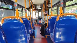 Route 462: Stagecoach London: 36632 (SN17MKP) ADL E20D/ ADL Enviro200MMC