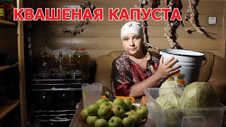 КАК Я КВАШУ КАПУСТУ С ЯБЛОКАМИ В ВЕДРЕ..Старинный рецепт от моей бабушки. СЛАВЯНСКИЙ РЕЦЕПТ КВАШЕНИЯ