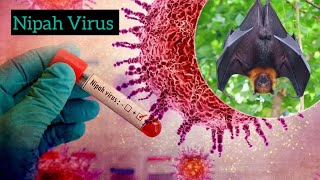 #virus| Nipah virus 🦠 | causes, symptoms, treatment, protection| 🦇