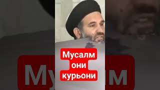 мусалмони курьони #рекомендации