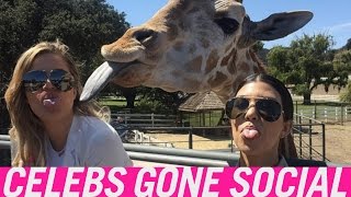 Khloe Kardashian, Blake Lively and more stars who hang out with wild animals