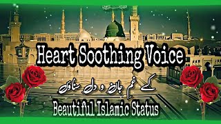 New Best Islamic Whatsapp Status  🌹| New Naat Whatsapp Status | Beautiful Islamic Status |