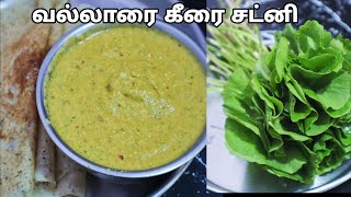 வல்லாரை கீரை சட்னி ஞாபகத்திறன் புத்தி கூர்மைக்கு-  Vallarai Keerai Chutney