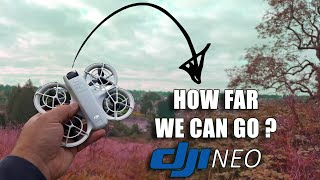 DJI Neo: Testing the INSANE Distance Capabilities