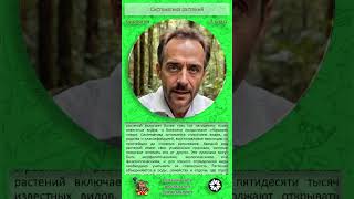 Б7 02  Систематика растений  Shorts  scientist Антон #посмотри_перед_уроком #краткое