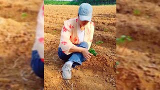 Inspirational Polio Lady with Thin Legs, Crawling at Her Farm | Paraplegic