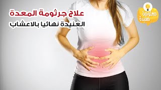 علاج جرثومة المعدة نهائيا بالاعشاب