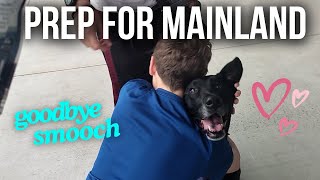 Shipping our Dog Back to the Mainland // Hawaii Travel Nurse Family