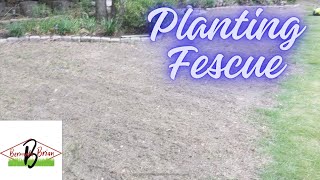 Fescue Seeding in the South