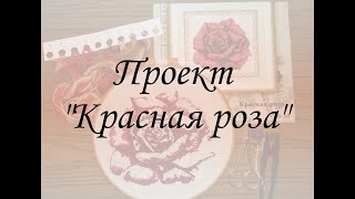 ПРИГЛАШЕНИЕ В ПРОЕКТ "Красная роза". #вышиваемвместе