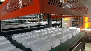 foam food box disposable plastic plate  tray making machine take away food container production line