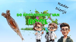 Beestenboel - Radardiertje of Rotifer