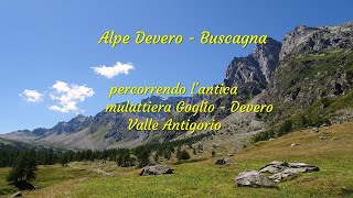 ALPE DEVERO  ( BUSCAGNA )  ANTICA MULATTIERA  GOGLIO  -  DEVERO   -   VALLE ANTIGORIO #trekking