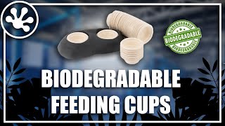 Biodegradable Feeding Cups From Pangea!!!