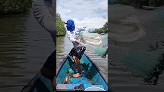 Miren lo que Capturamos ##viral #videos #pesca #sigueme #viralspescador #pesca #sigueme #virals