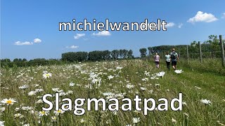 Slagmaatpad