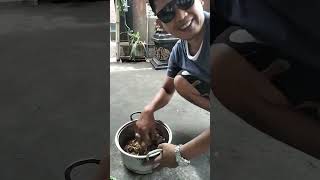 masak  ayam kampung kuah bumbu rajang #shorts