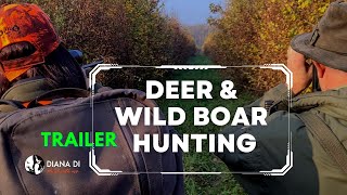 Deer Hunting and Wild Boar Hunting - Hunt with me - Spacva Croatia - Trailer