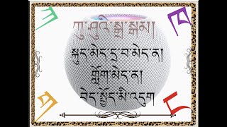 ཨ་མའི་ནོར་བུ་དང་མཉམ་དུ་ཀུ་ཤུའི་ཐོན་རྫས་སྤྱད་ནས་བོད་ཡིག་སྦྱོང་བ།