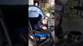 Birds want food #baby #lifestyle #youtubeshorts #cutebaby #babycantravel #reels #trending